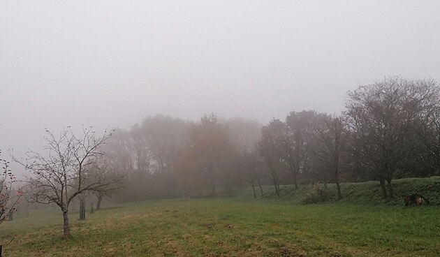 Rozl��ka s bab�m l�tem