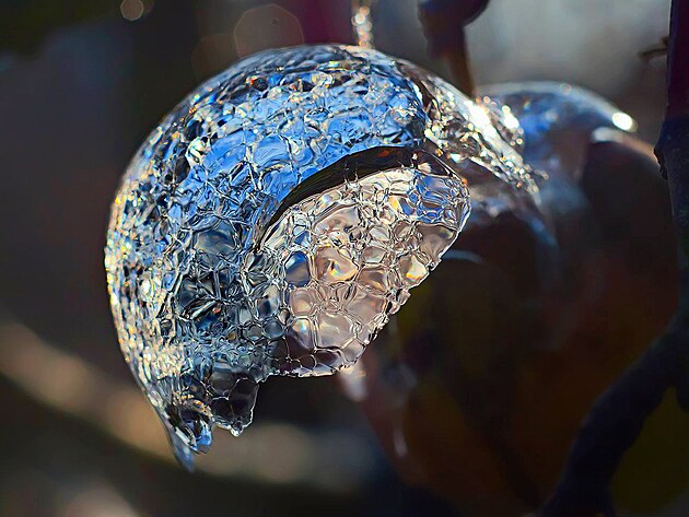 Ledov� adventn� zvon�n�, v zahrad�...