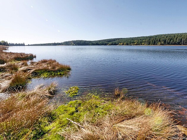 Z okraj� mok�adu se uvol�uj� plovouc� ostr�vky tvo�en� ra�elin�kem a dal��mi rostlinami