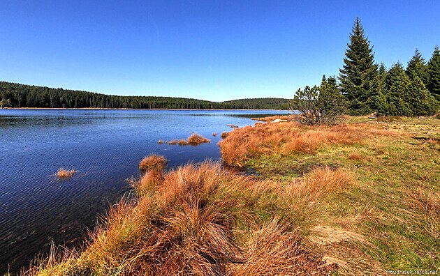 Podm��en� b�eh n�dr�e Bed�ichov