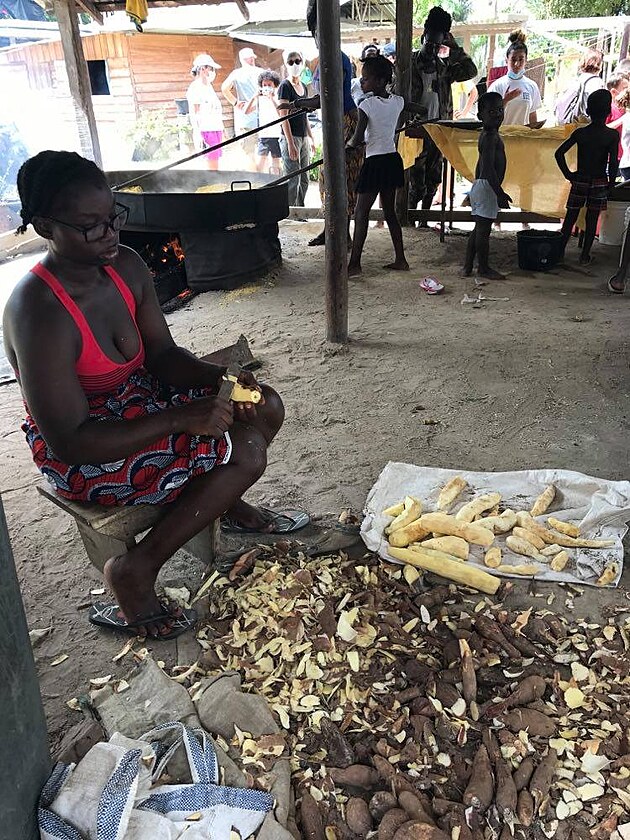 Zpracovn manioku