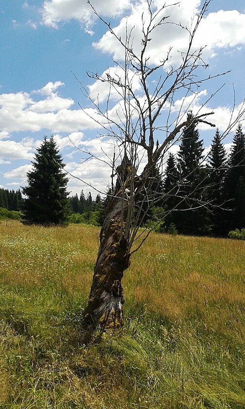 Pam�tn�ci za�l�ch �as�