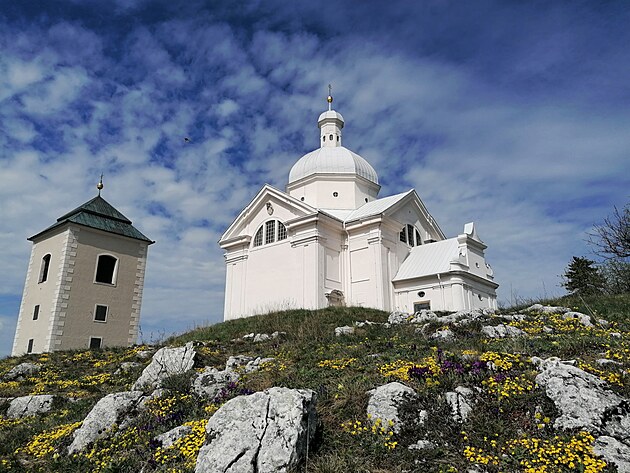 Tentokrt jsme nepijeli pouze obdivovat sakrln stavby, ale hlavn za spoustou kvetoucch skalkovch kosatc a koberc taice i netesk a mnoha jinch alpinek.