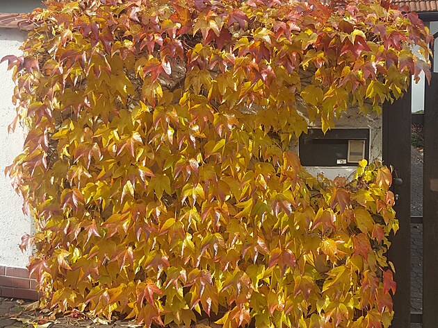 P��savn�k t��prst� m� prom�nliv� barvy