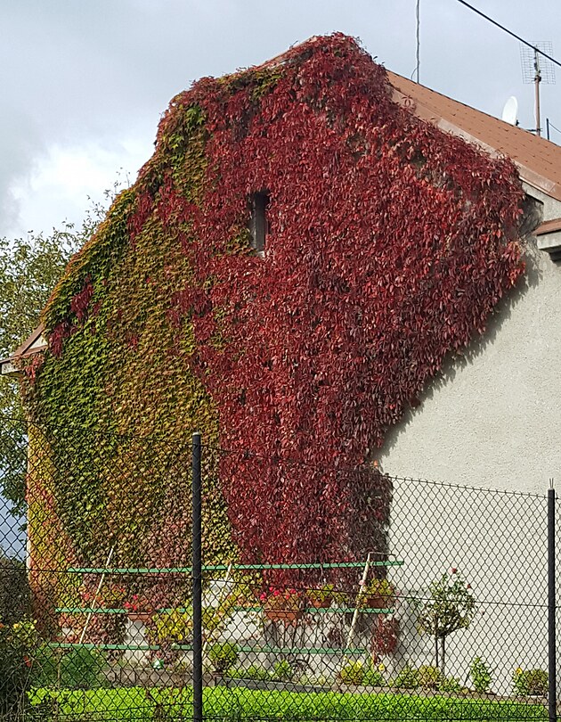 Tady je taky kombinace t��prst�ho a p�tiprst�ho p��savn�ku