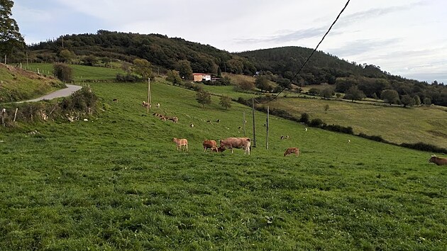 Zemdlsk krajina Asturie