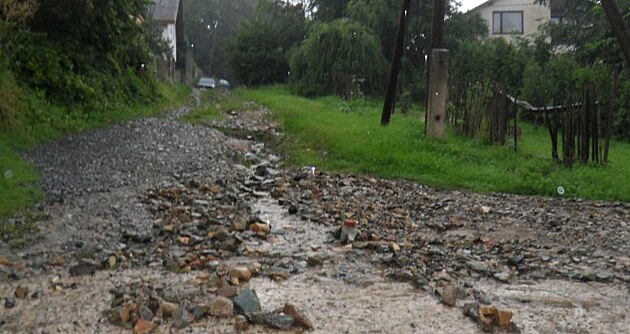 Zbytky star�ho plotu a cesta po de�ti