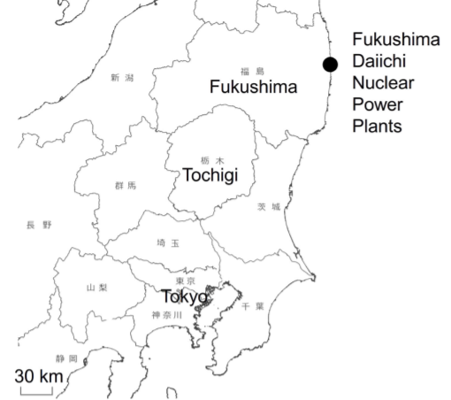 Fukushima-Tochigi-2013