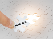 obr�zek z programu Canva