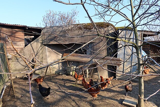 Polsk� opevn�n� P5 Cecylia na dvorku u Dyb�