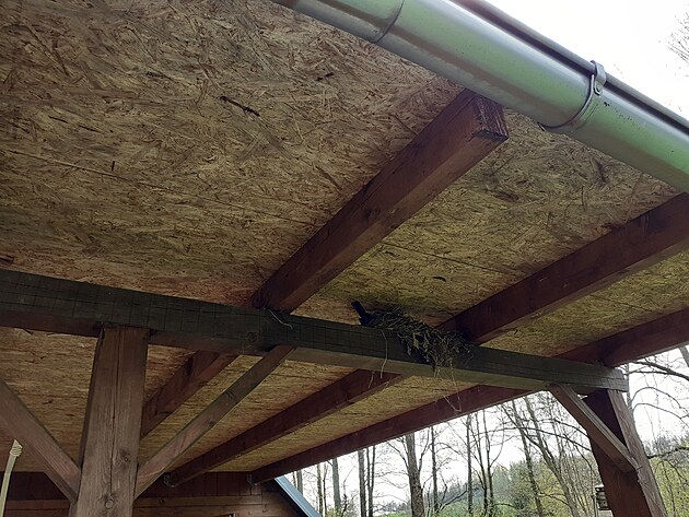 kosice na hn�zd�