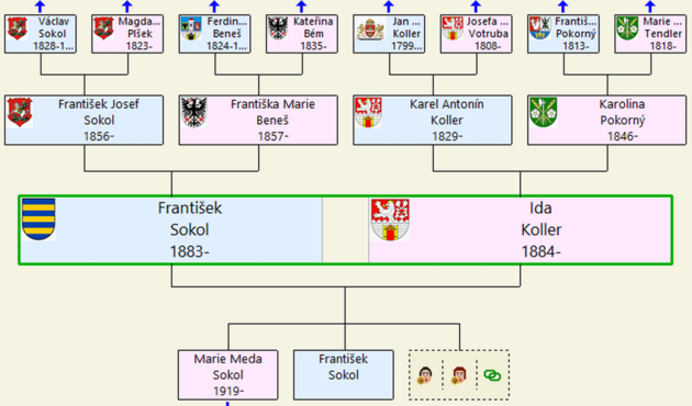 the Complete Genealogy Builder - Meda M.