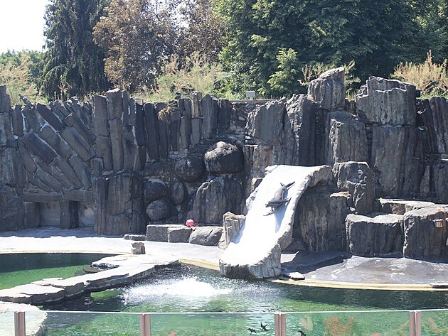 Lachtani sjížděli klouzačku!