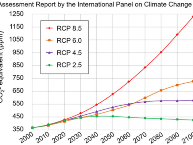 https://www.researchgate.net/figure/Differences-in-RCPs-Representative-Concentration-Pathways-45-and-85-for-future-time_fig1_345894999