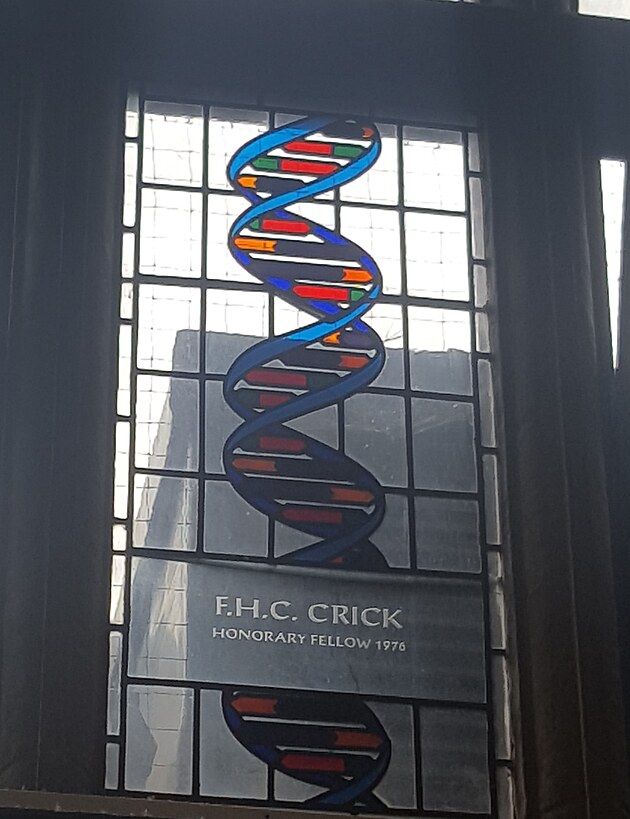Okno vnovan F.H.C. Crickovi, kter spolu s J. D. Watsonem v roce 1953 objevili strukturu DNA.