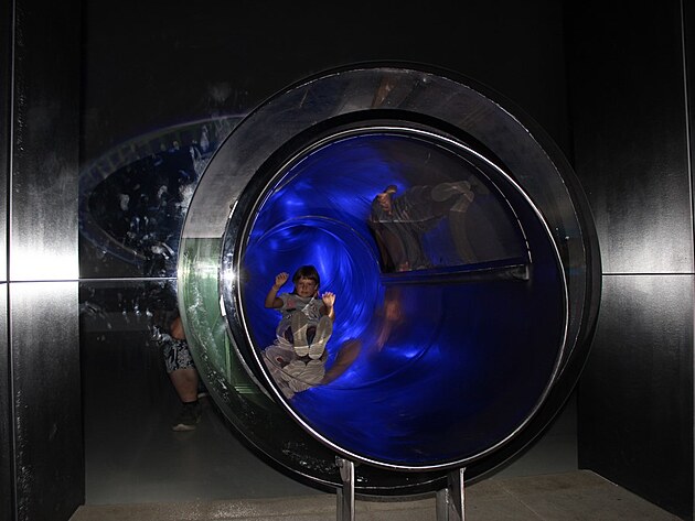 D�ti se bavily mezi mnoha akv�rii s med�zami.