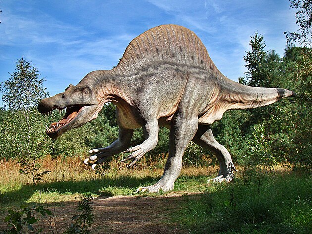 Pojem dinosaurus neexistoval v dob, kdy ili dinosaui. Ten vymyslel a lovk.