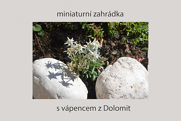 miniaturn zahrdka - prot a vpenec z Dolomit