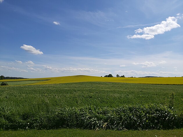 Krajina jako zahrdka