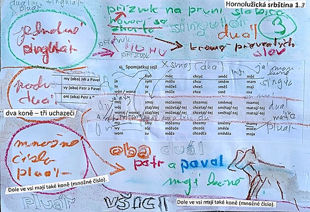 jednotn� ��slo - singul�r (po)dvojn� ��slo - du�l, mno�n� ��slo - plu�r