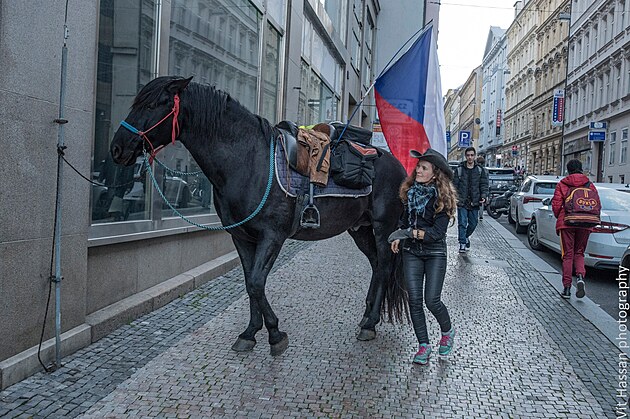 ena s konm na demonstraci Milionu Chvilek, 30.jna 2022.