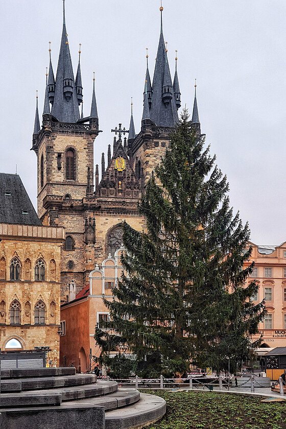 Vtej v Praze vnon stromeku