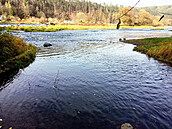 Ústí potoka do Berounky