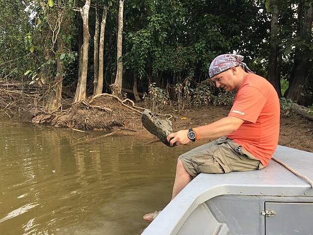 Fotografovn zvat na ece Kinabatangan v Malajsii, Ostrov Borneo