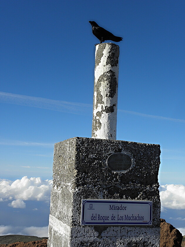 La Palma