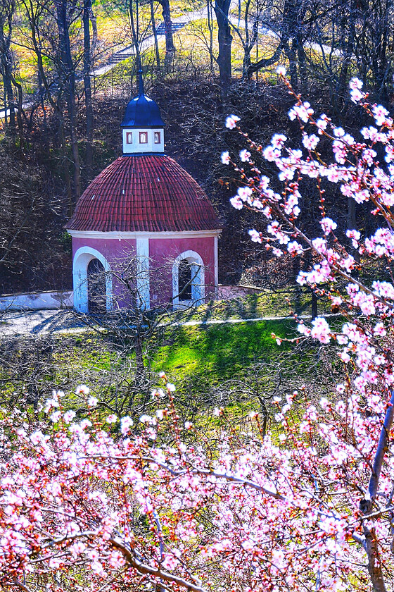 Bval kaple Jezultka v Seminsk zahrad
