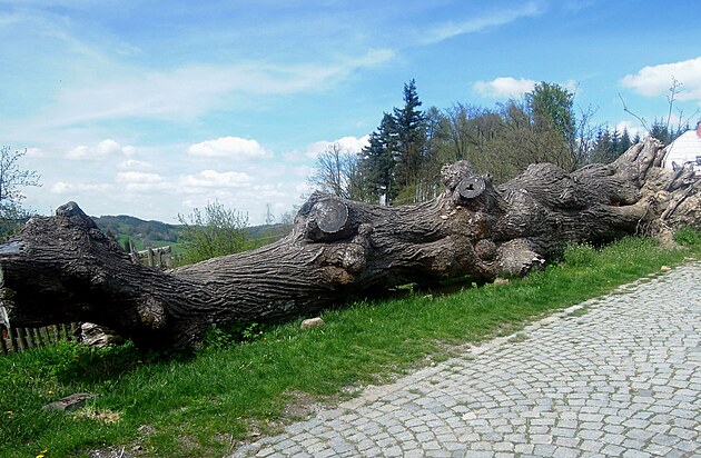 Provodvsk kostel z horn strany