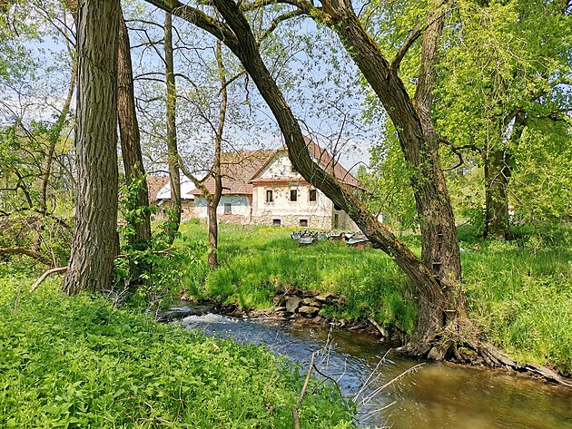 B�lk�v ml�n v �dol� �eky Borr�vky