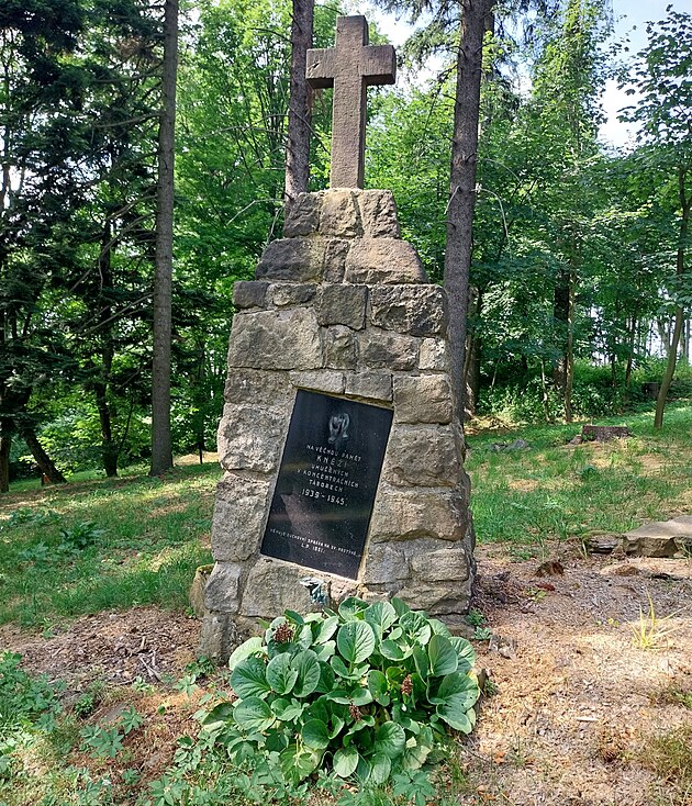 Pro zmnu vzpomnka na knze - obti nacismu,