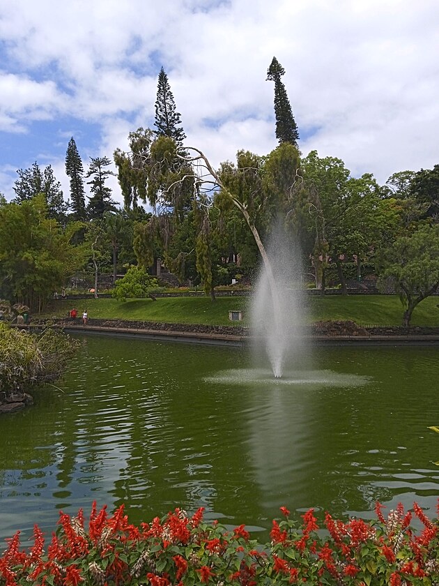 park ve Funchalu