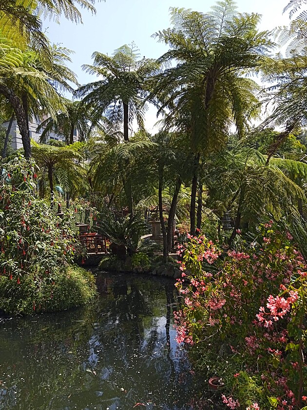 tropick zahrada