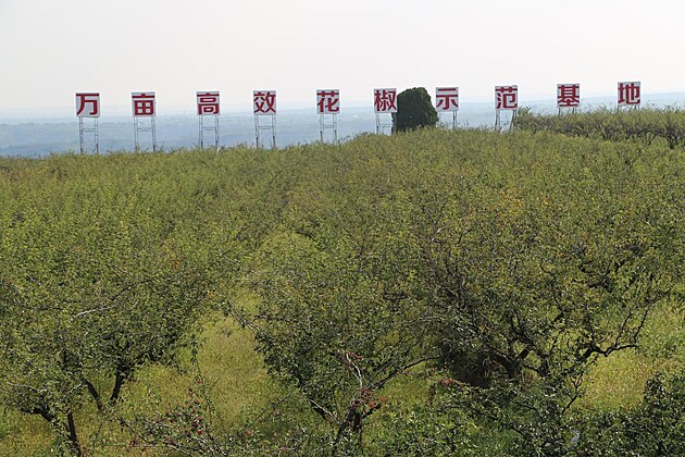 pepov farma nedaleko msta Sian