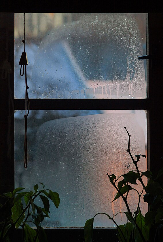Lednov okno, naveer