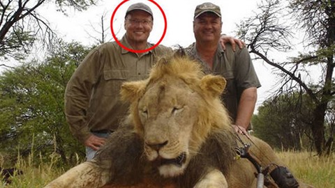 Příčina aktuální debaty o lovu divokých zvířat - zubař Walter Palmer zastřelil...