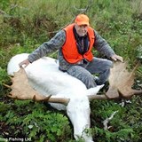 Kdy lovci v Kanad ulovili vzcnho albnskho losa, vzbouili se hlavn...