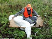 Kdy lovci v Kanad ulovili vzácného albínského losa, vzbouili se hlavn...