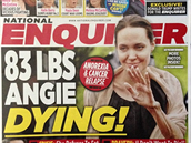 Angelina podle amerického deníku umírá a její rodina se s ní pomalu louí.