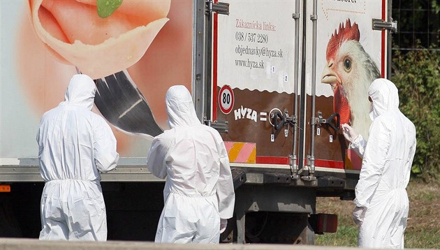 Policejní technici se pipravují k rozpeetní náklaáku plného mrtvých...