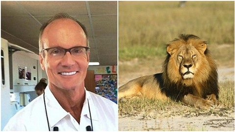 Americký zuba Walter Palmer zabil letos v ervnu lva Cecila v Zimbabwe.