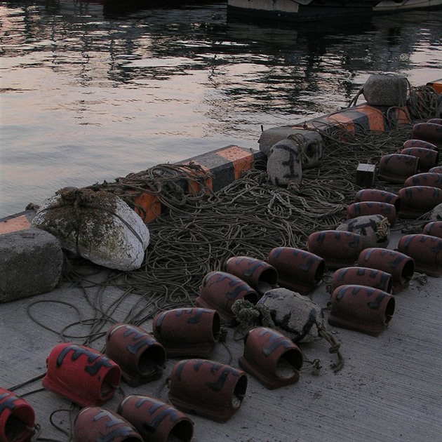 Takotsubo - pasti na chobotnice.