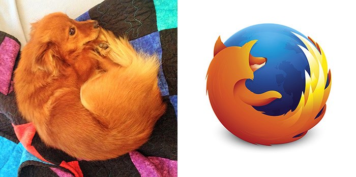 Odpovajc pes a Mozilla Firefox.