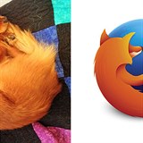 Odpovajc pes a Mozilla Firefox.