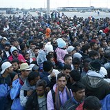 Uprchlíci na rakousko-maďarské hranici.