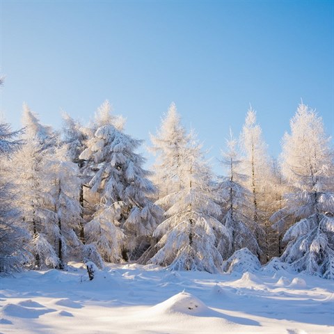 Meteorologov pedpovdaj pro leton zimu extrmn chladn poas.