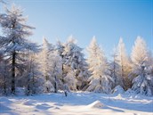 Meteorologové pedpovídají pro letoní zimu extrémn chladné poasí.