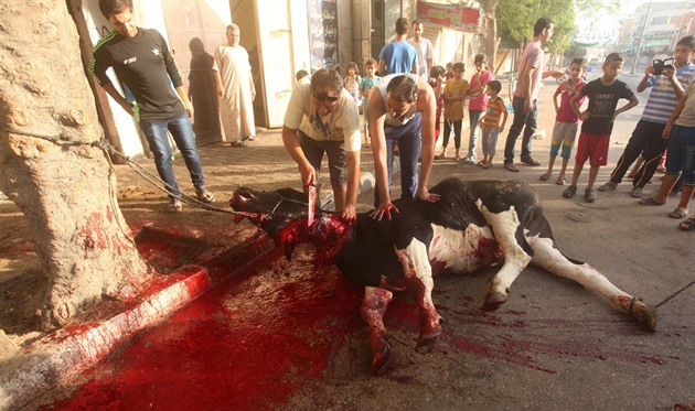 Palestinci obtuj krvy a ovce pi prvnm dni svtku obti.